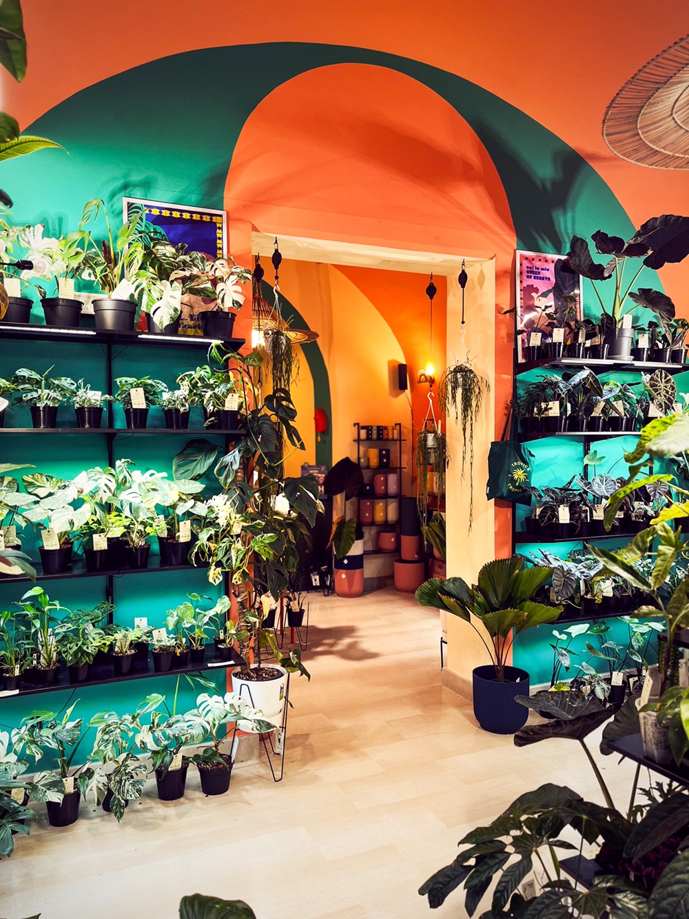Tropica